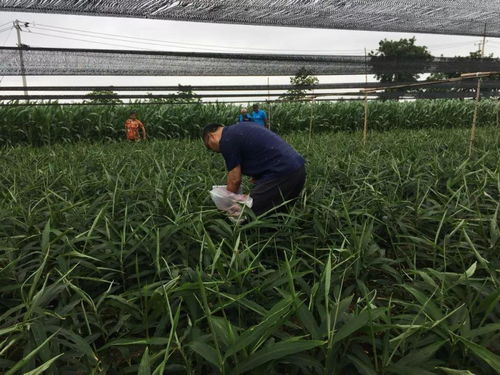 農化明星 大地英雄 這個獎你值得擁有