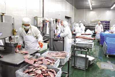 豐都構建“三大體系”打通發展瓶頸，以“三步走”探索食品及農產品加工高質量發展新路徑