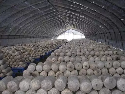 全國農產品及加工副產物18種綜合利用經典模式，農人必看