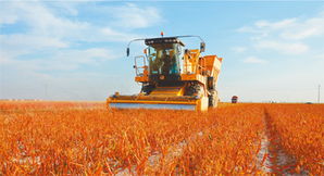 PE如何與中國農(nóng)業(yè)企業(yè)對接畜產(chǎn)品購銷貿(mào)易